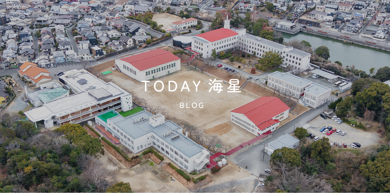 TODAY 海星