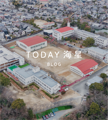 TODAY 海星