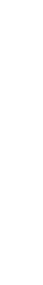 森のある小学校